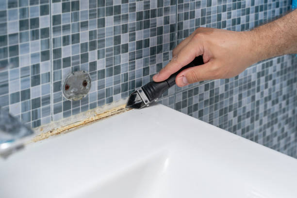 Best Basement Mold Remediation in Johnstown, NY